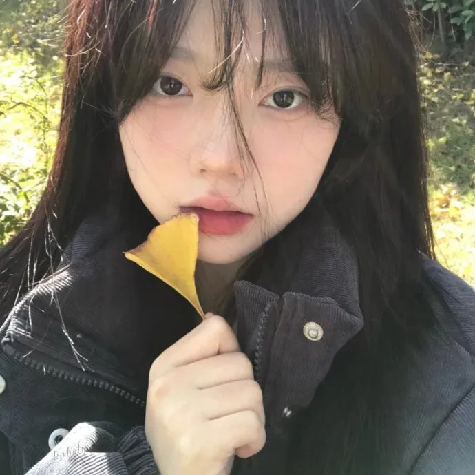 月殒天劫